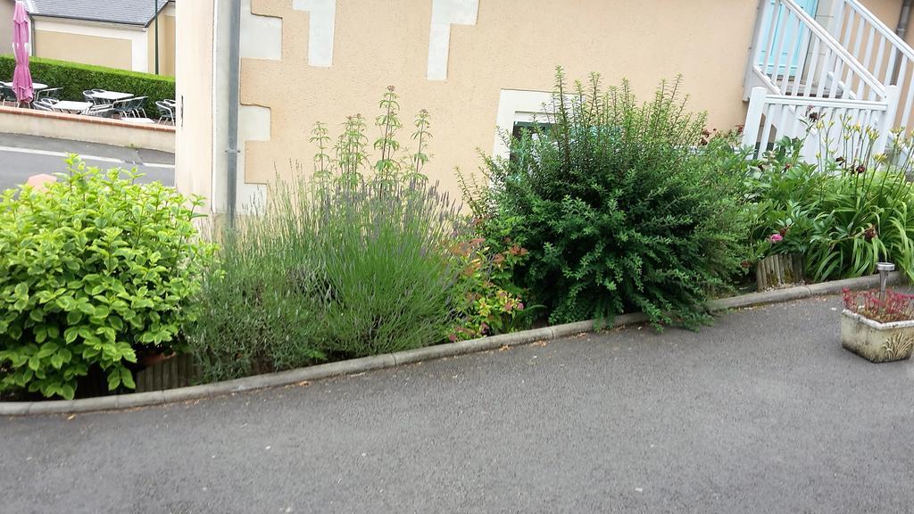 Auberge Du Cheval Blanc Beaumont-Pied-de-Boeuf  Exterior foto